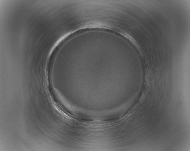 X0000080181120200612081354