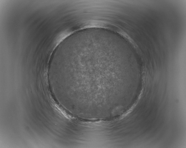 X0000080181121200612081354