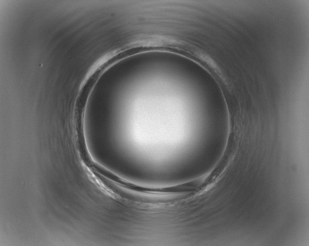 X0000080181122200612081354