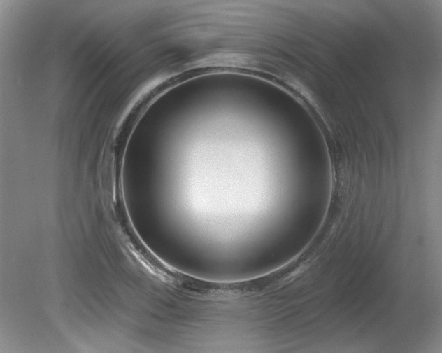 X0000080181123200612081354