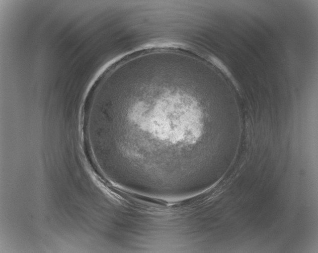 X0000080181124200612081354