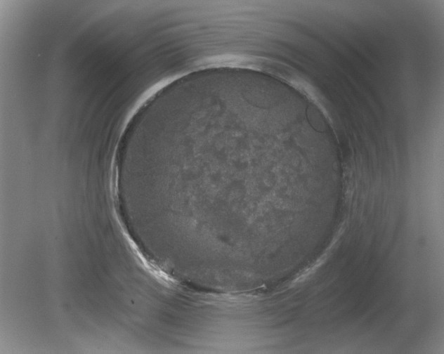 X0000080181125200612081354