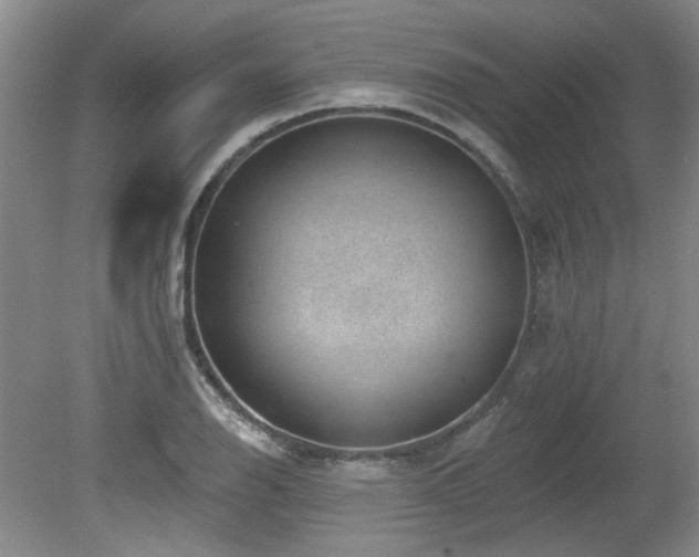 X0000080181126200612081354