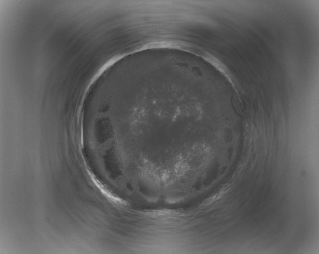 X0000080181127200612081354