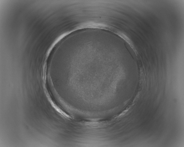 X0000080181128200612081354