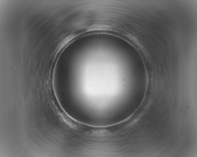 X0000080181129200612081354