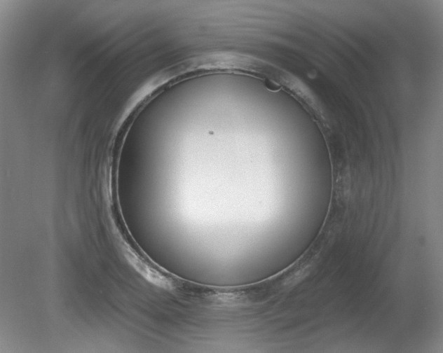 X0000080181130200612081354