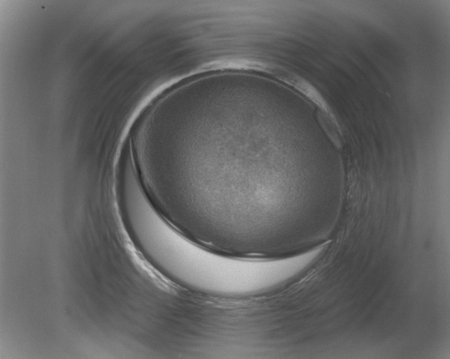 X0000080181132200612081354