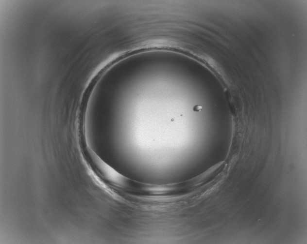 X0000080181134200612081354