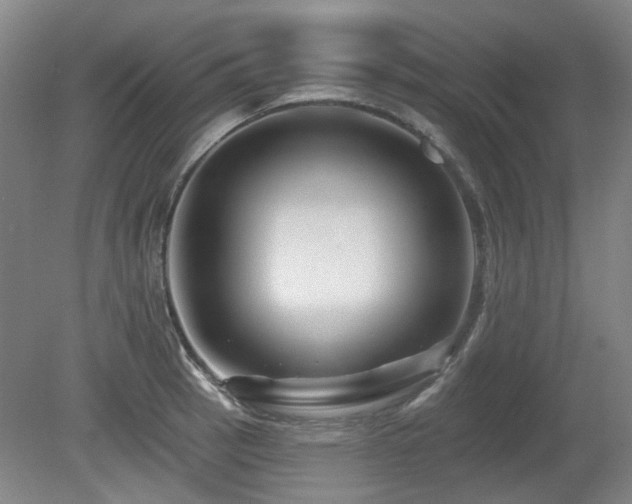 X0000080181137200612081354