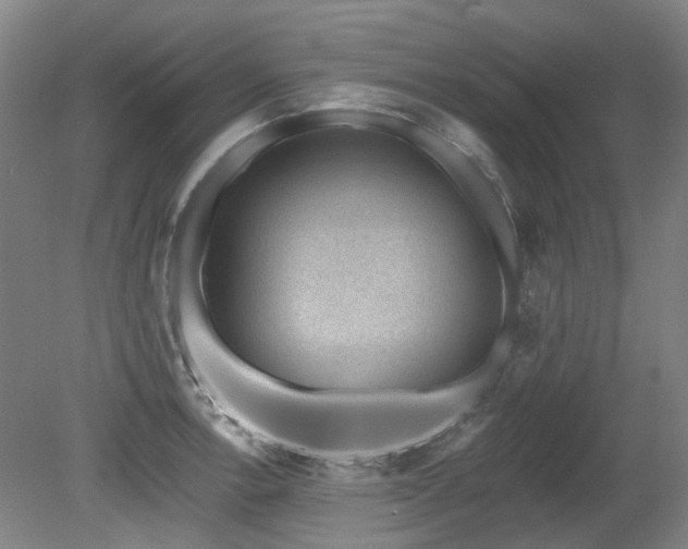 X0000080181138200612081354