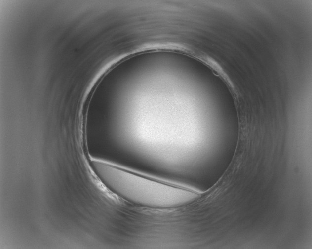 X0000080181140200612081354