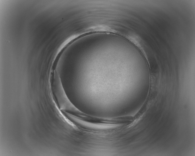 X0000080181141200612081354