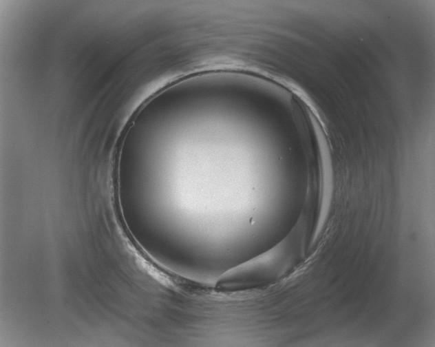 X0000080181142200612081354