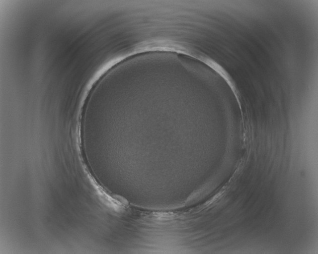 X0000080181144200612081354