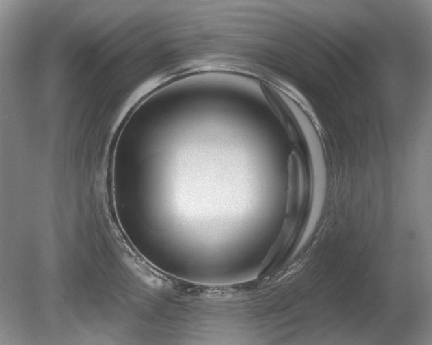 X0000080181146200612081354