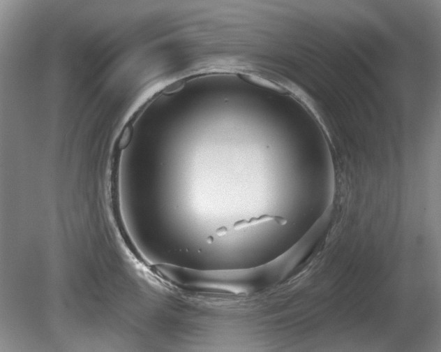 X0000080181147200612081354