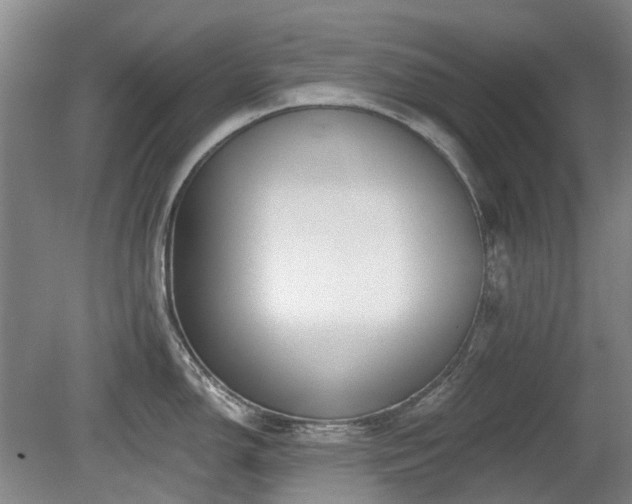 X0000080181150200612081354