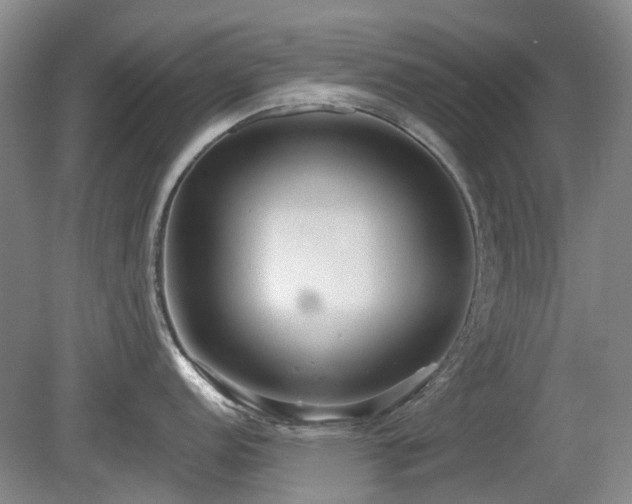 X0000080181152200612081354