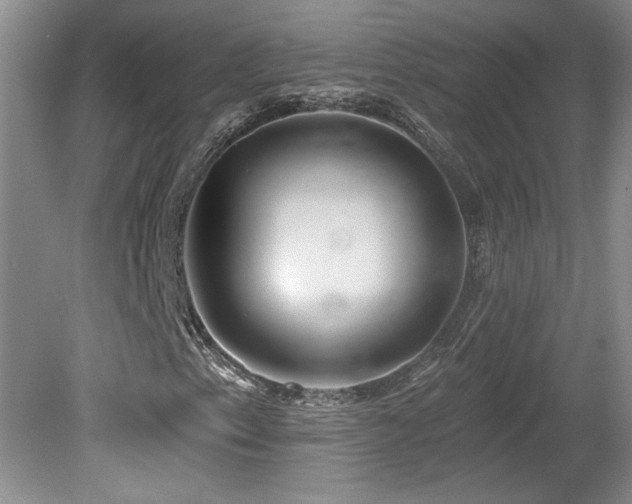 X0000080181153200612081354