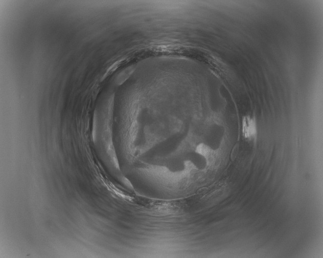 X0000080181155200612081354