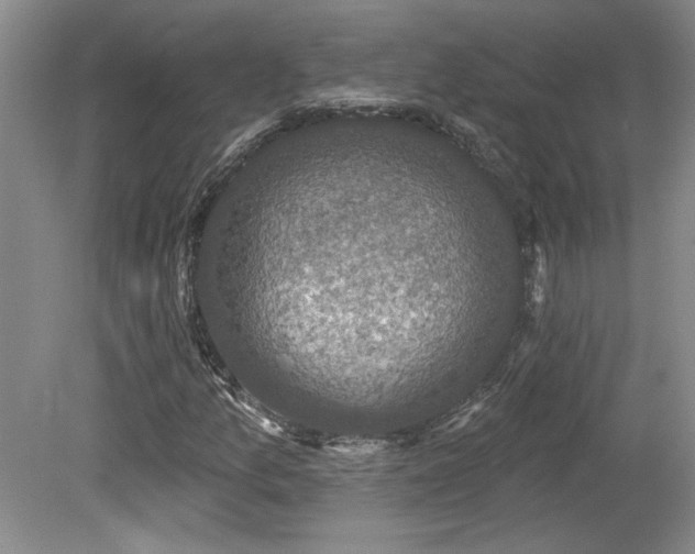 X0000080181157200612081354