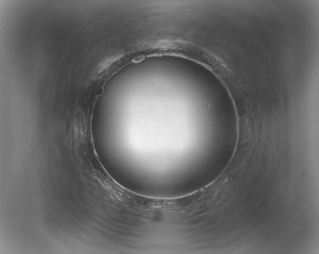 X0000080181158200612081353