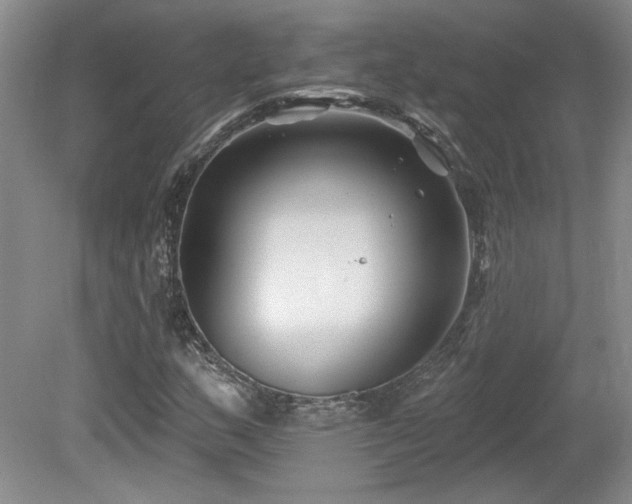 X0000080181159200612081353