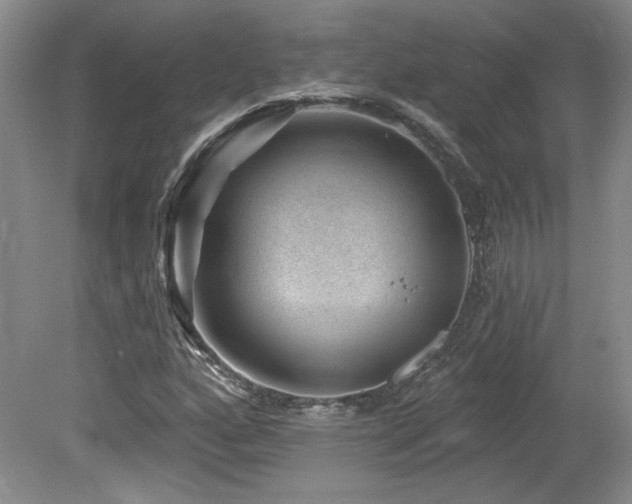 X0000080181160200612081353