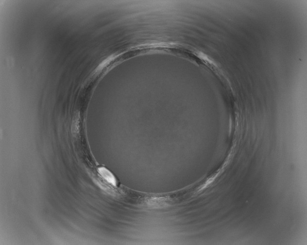 X0000080181161200612081353