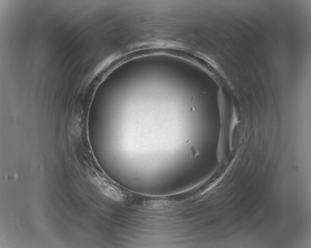 X0000080181163200612081353