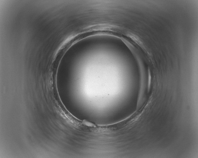 X0000080181164200612081353