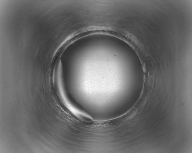 X0000080181165200612081353