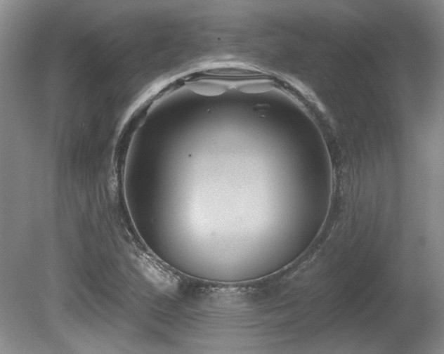 X0000080181167200612081353