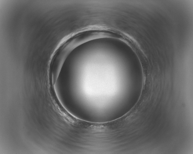 X0000080181168200612081353