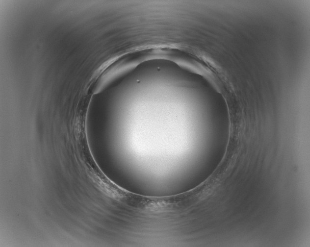 X0000080181169200612081353