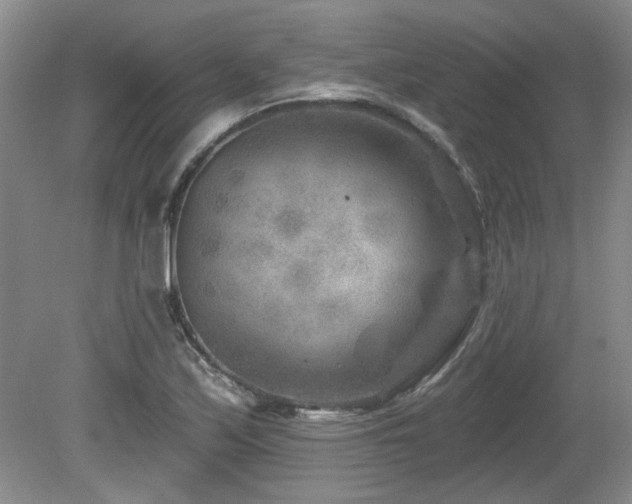 X0000080181171200612081353