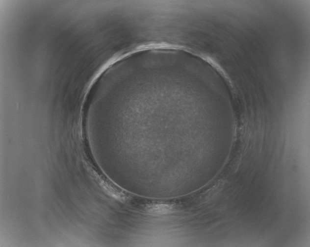 X0000080181173200612081353