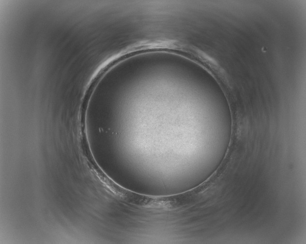 X0000080181174200612081353