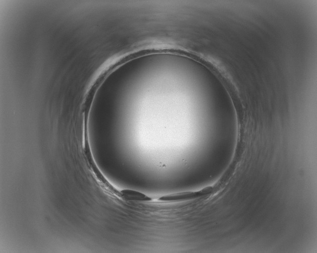 X0000080181175200612081353