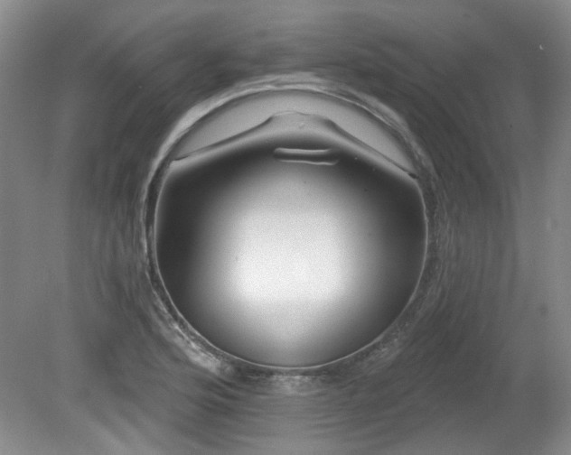 X0000080181176200612081353