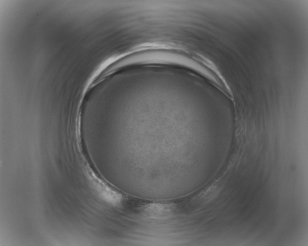 X0000080181179200612081353