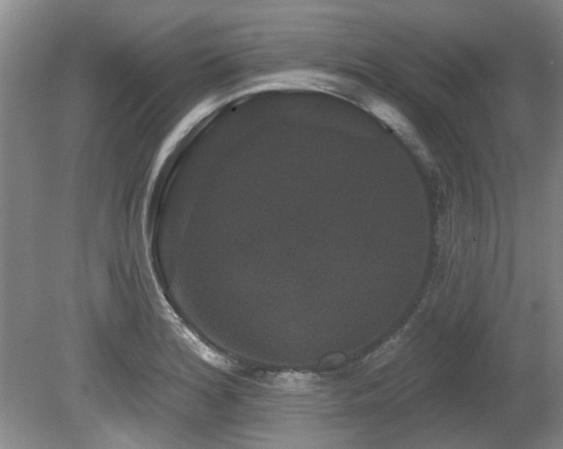 X0000080181180200612081353