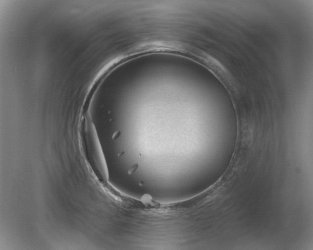 X0000080181182200612081353