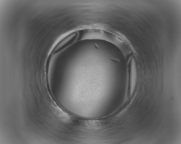 X0000080181184200612081353