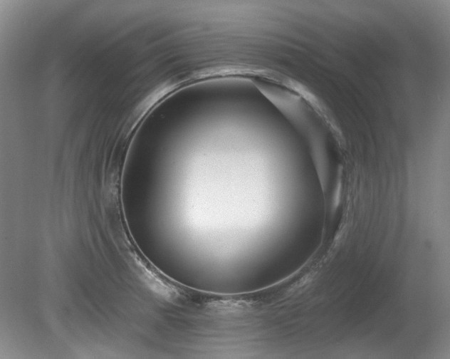 X0000080181185200612081353