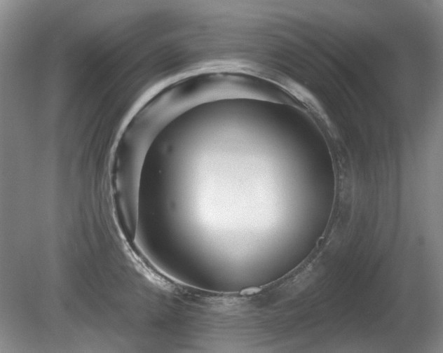 X0000080181192200612081353