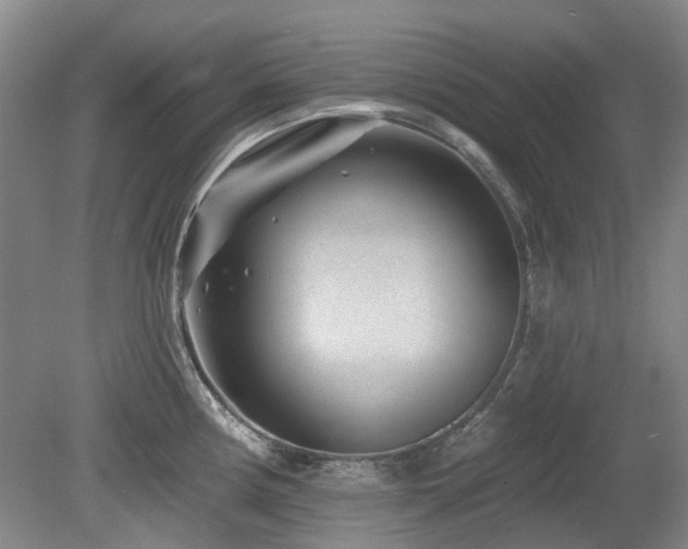 X0000080181194200612081353