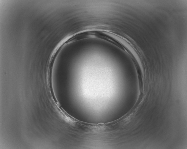 X0000080181196200612081353