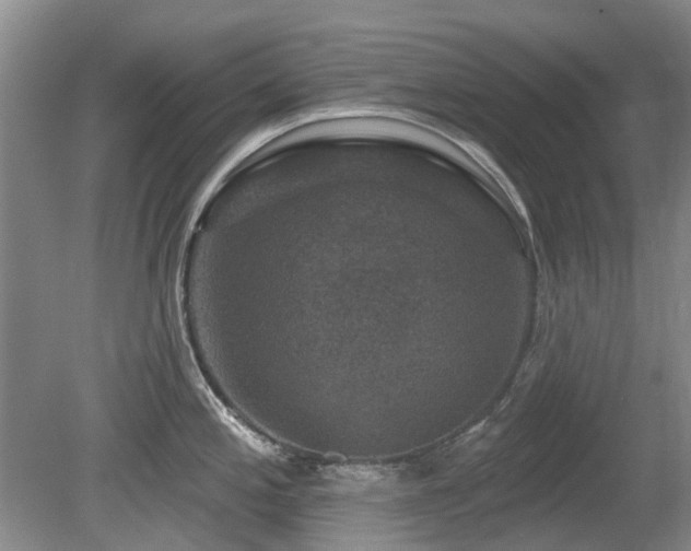 X0000080181197200612081353